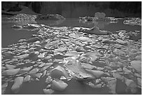 Icebergs in Upper Grinnell Lake. Glacier National Park, Montana, USA. (black and white)