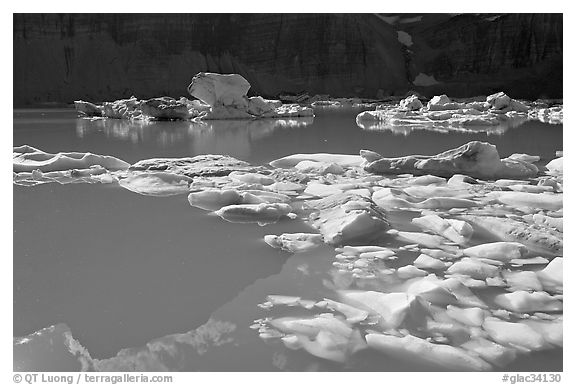 Icebergs and reflections in Upper Grinnell Lake. Glacier National Park, Montana, USA.