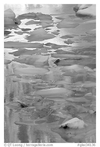 Blue icebergs floating on reflections of rock wall, late afternoon. Glacier National Park, Montana, USA.