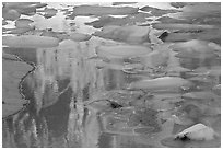 Blue icebergs floating on reflections of rock wall, Upper Grinnel Lake, late afternoon. Glacier National Park, Montana, USA. (black and white)