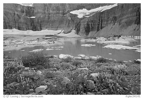 Wildflowers, Upper Grinnell Lake, Salamander Falls and Glacier. Glacier National Park, Montana, USA.