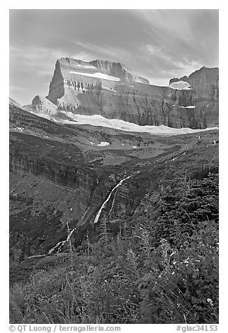 Wildflowers, Grinnell Falls, Mt Gould, and Garden Wall, sunset. Glacier National Park, Montana, USA.