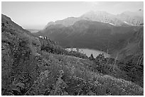 Alpine wildflowers, Grinnell Lake, and Allen Mountain, sunset. Glacier National Park, Montana, USA. (black and white)