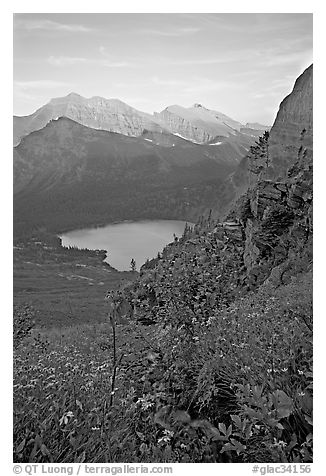 Alpine wildflowers and stream, Grinnell Lake, and Allen Mountain, sunset. Glacier National Park (black and white)