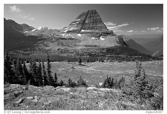 Meadows with alpine wildflowers, Hidden Lake and Bearhat Mountain behind. Glacier National Park, Montana, USA.