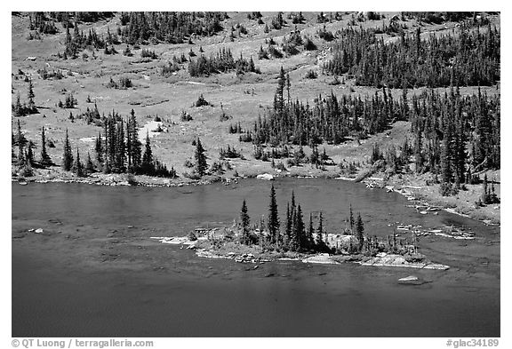 Islet on Hidden Lake. Glacier National Park, Montana, USA.