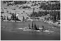 Islet on Hidden Lake. Glacier National Park, Montana, USA. (black and white)
