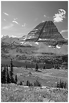 Alpine Meadows with wildflowers, Hidden Lake and Bearhat Mountain behind. Glacier National Park, Montana, USA. (black and white)