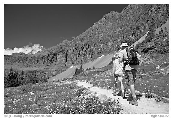 Hikers on trail amongst wildflowers near Hidden Lake. Glacier National Park, Montana, USA.