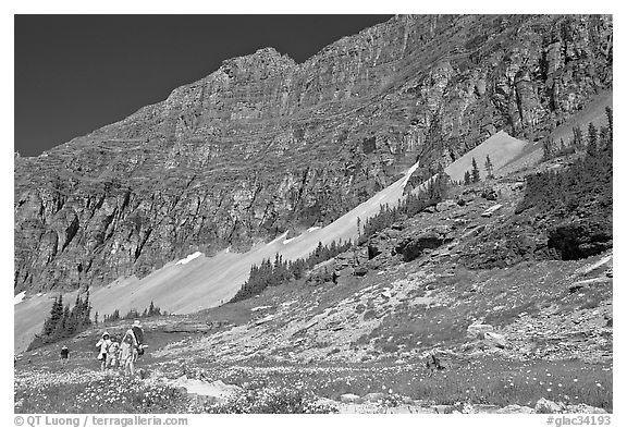 Family hiking on trail amongst wildflowers near Hidden Lake. Glacier National Park (black and white)
