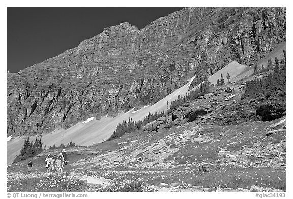 Family hiking on trail amongst wildflowers near Hidden Lake. Glacier National Park, Montana, USA.