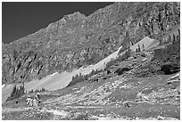 Family hiking on trail amongst wildflowers near Hidden Lake. Glacier National Park, Montana, USA. (black and white)