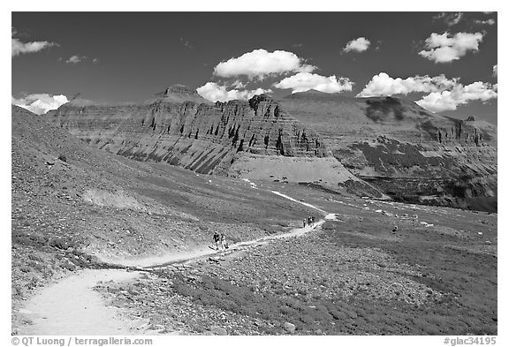 Trail near Logan Pass. Glacier National Park (black and white)