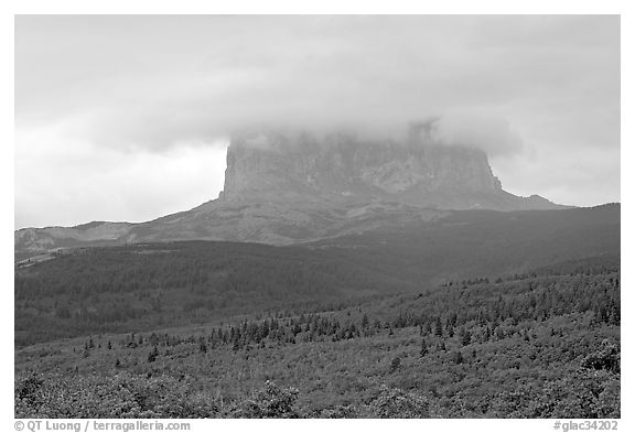 Chief Mountain, with top in the clouds. Glacier National Park, Montana, USA.