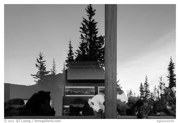 Firs and peak, Logan Pass visitor center window reflexion. Glacier National Park (black and white)