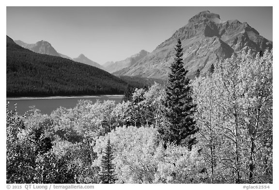 Autumn color, Rising Wolf Mountain, Lower Two Medicine Lake. Glacier National Park (black and white)