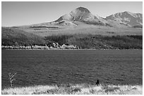 Black Bear, Saint Mary Lake. Glacier National Park ( black and white)