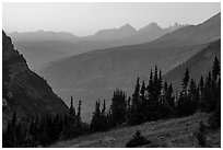 Sunset from Highline trail. Glacier National Park ( black and white)