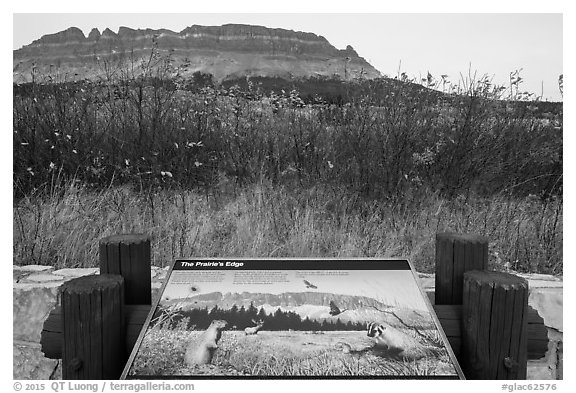 Prairie Edge interpretive sign. Glacier National Park (black and white)