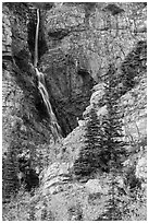 Apikuni Falls in autumn. Glacier National Park ( black and white)