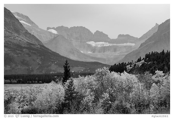 Forest in autum foliage and Garden Wall, Many Glacier. Glacier National Park (black and white)