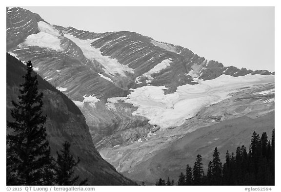 Jackson Glacier. Glacier National Park (black and white)