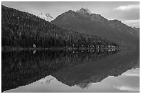 Forest slopes withs autumn color accent and mountains, Bowman Lake. Glacier National Park ( black and white)