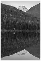 Peak, forest with autumn color accent, Bowman Lake. Glacier National Park ( black and white)