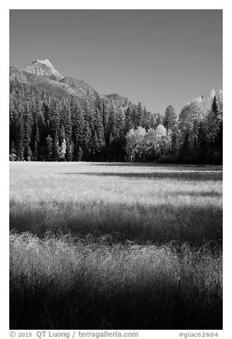 Meadow in autumn, North Fork. Glacier National Park (black and white)