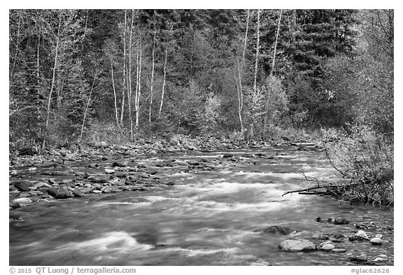 Kintla Lake in autumn. Glacier National Park (black and white)