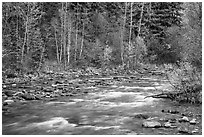 Kintla Lake in autumn. Glacier National Park ( black and white)