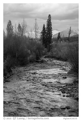 Bowman Creek. Glacier National Park (black and white)