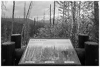 Thank you wildfire interpretive sign. Glacier National Park ( black and white)