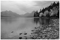 Lake McDonald shores in autum. Glacier National Park ( black and white)