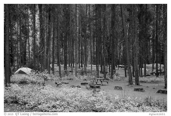Apgar Campground in autumn. Glacier National Park (black and white)