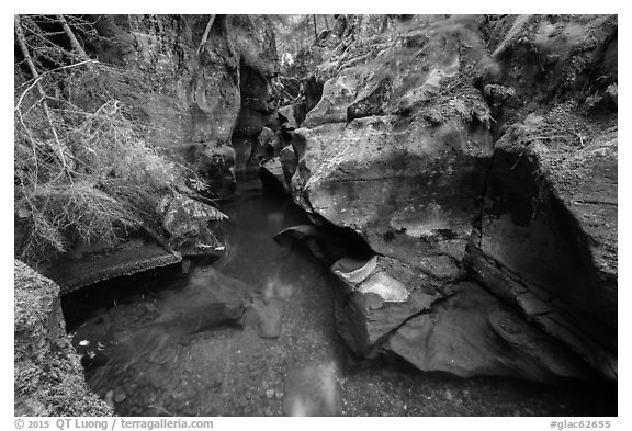 Emerald waters, Avalanche Creek. Glacier National Park (black and white)