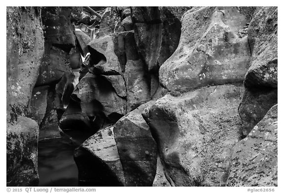 Sculptured rocks, Avalanche Creek. Glacier National Park (black and white)