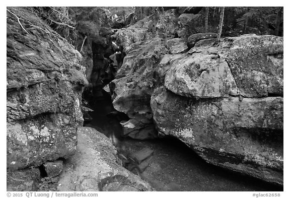 Avalanche Creek in autumn. Glacier National Park (black and white)