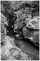 Avalanche Creek with low flow of autumn. Glacier National Park ( black and white)