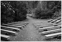 Amphitheater, Avalanche Creek Campground. Glacier National Park ( black and white)