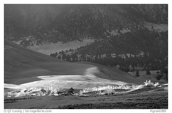 Storm light illuminates portions of the dune field. Great Sand Dunes National Park, Colorado, USA.