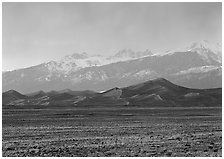Flats, sand dunes, and snowy Sangre de Christo mountains. Great Sand Dunes National Park and Preserve ( black and white)