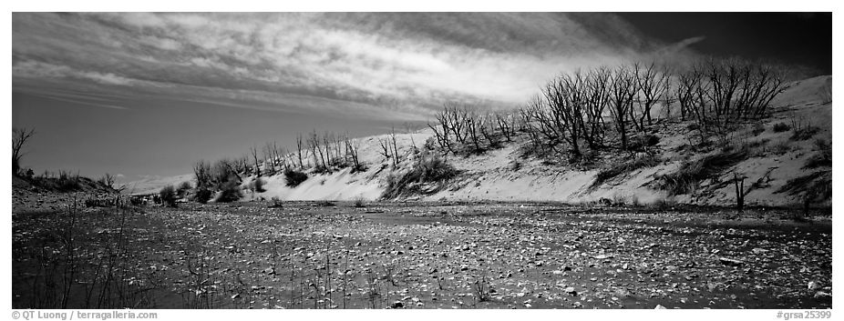 Dry wash and dunes. Great Sand Dunes National Park and Preserve (black and white)