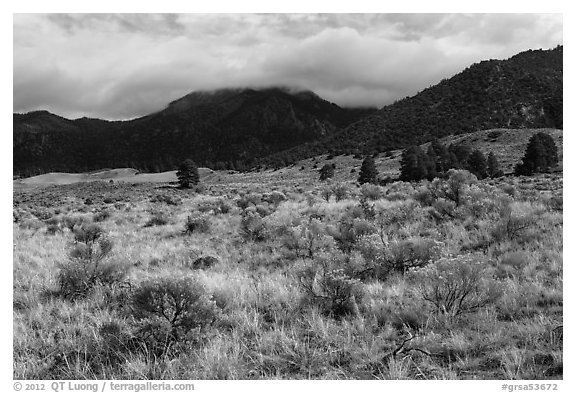 Grasslands below mountains. Great Sand Dunes National Park and Preserve (black and white)