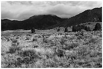 Grasslands below mountains. Great Sand Dunes National Park, Colorado, USA. (black and white)