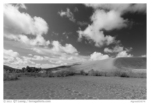 Dried Medano Creek and sand dunes in autumn. Great Sand Dunes National Park and Preserve (black and white)