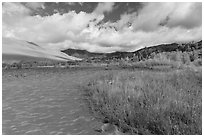 Grasses, patterns in sand of Medano Creek, sand dunes in autumn. Great Sand Dunes National Park, Colorado, USA. (black and white)