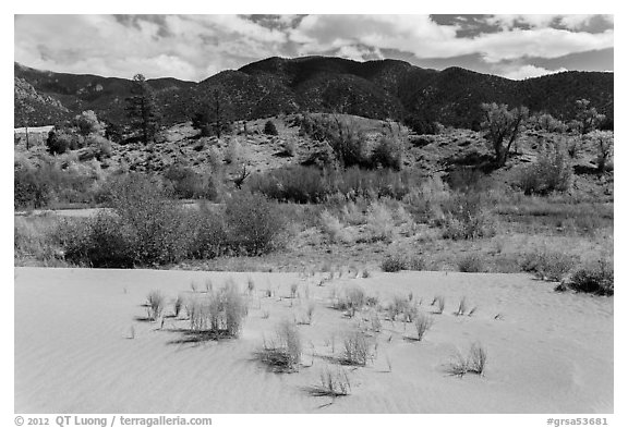Dune sand, creek, grasslands, and mountains in autumn. Great Sand Dunes National Park and Preserve (black and white)