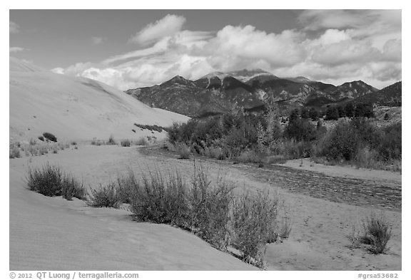 Dry Medano Creek. Great Sand Dunes National Park and Preserve (black and white)