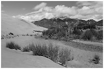 Dry Medano Creek. Great Sand Dunes National Park, Colorado, USA. (black and white)